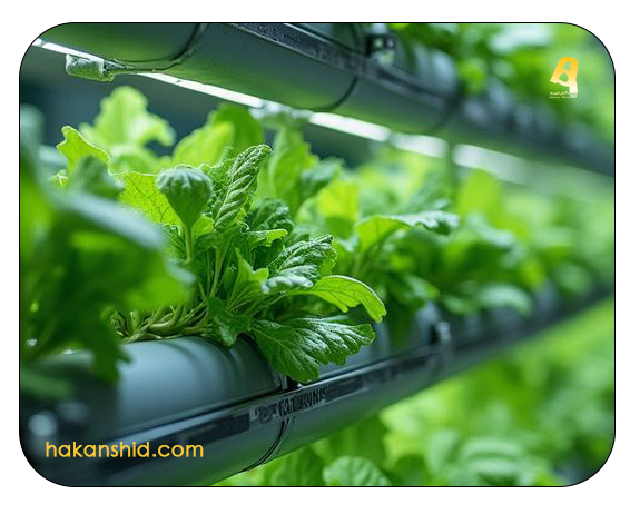 تفاوت لامپ رشد گیاه با لامپ معمولی